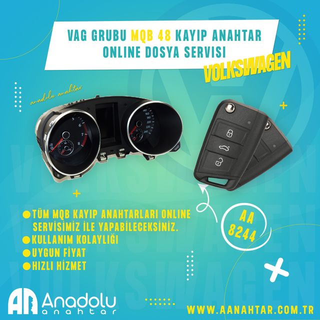 8244 | VAG Grubu MQB 48 Kayıp Anahtar Online Dosya Servisi