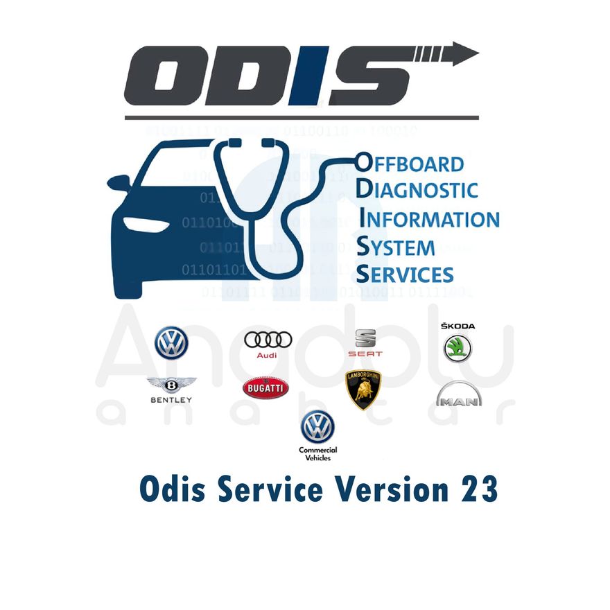8317 | ODIS VAG Grubu Teşhis ve Programlama Software Versiyon 23